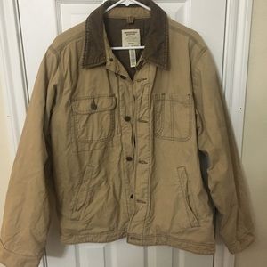 American Eagle Outfitters 🦅